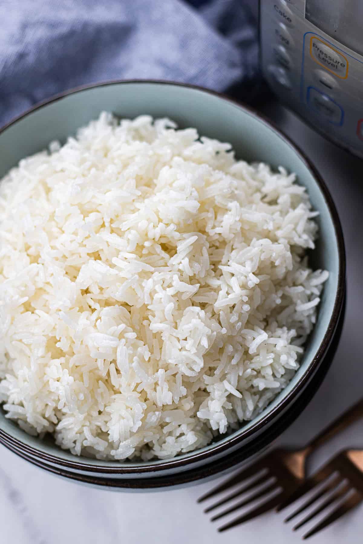 White rice in a blue bowl.