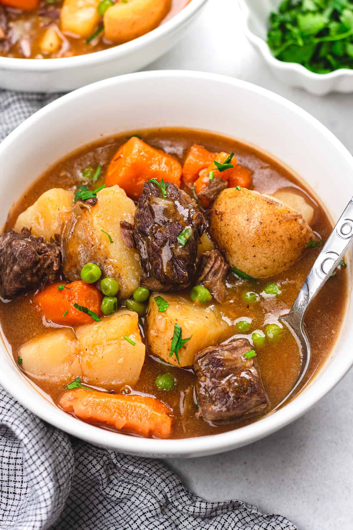 Beed Stew with a spoon on a white bowl.