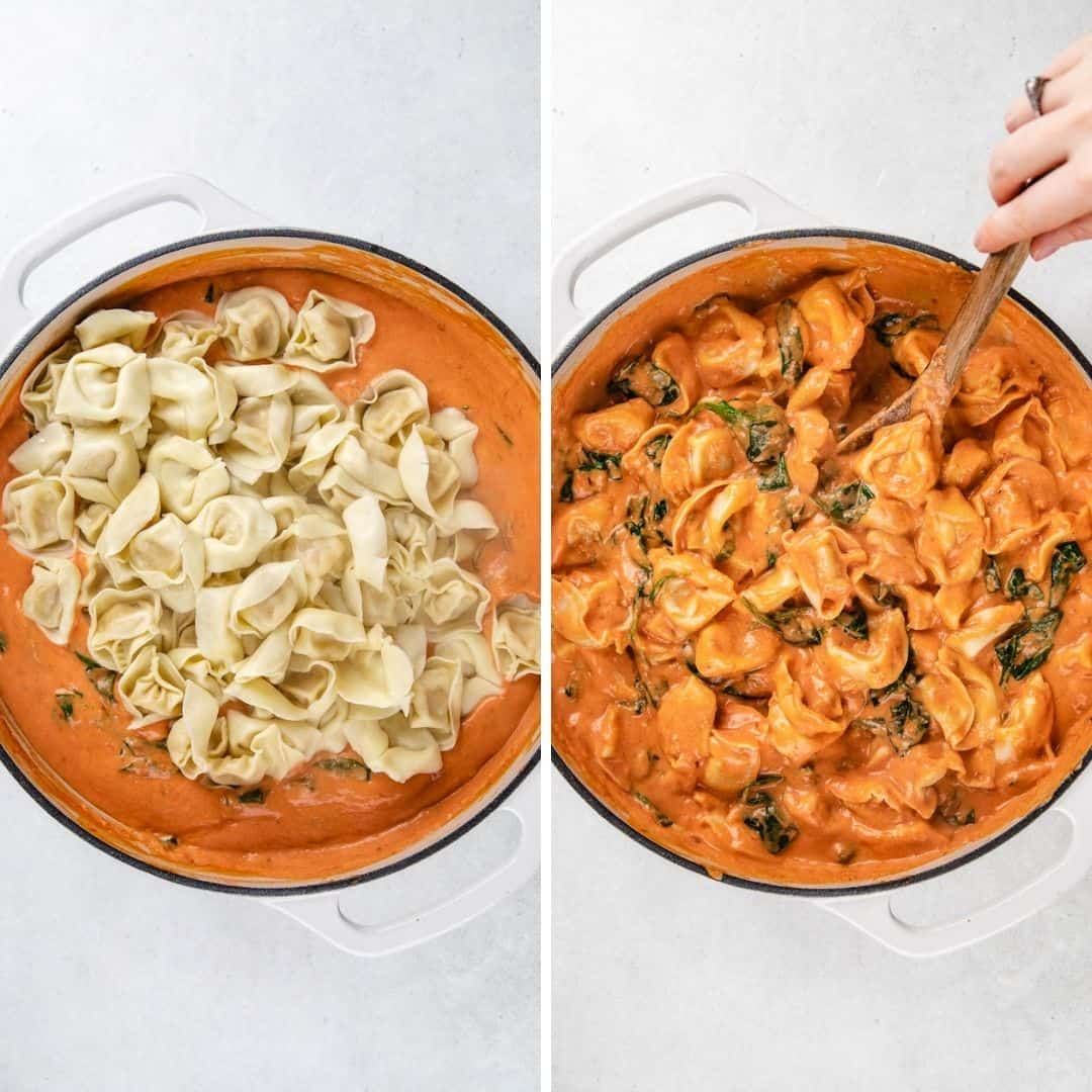 Tortellini in Tomato Sauce Veronika's Kitchen