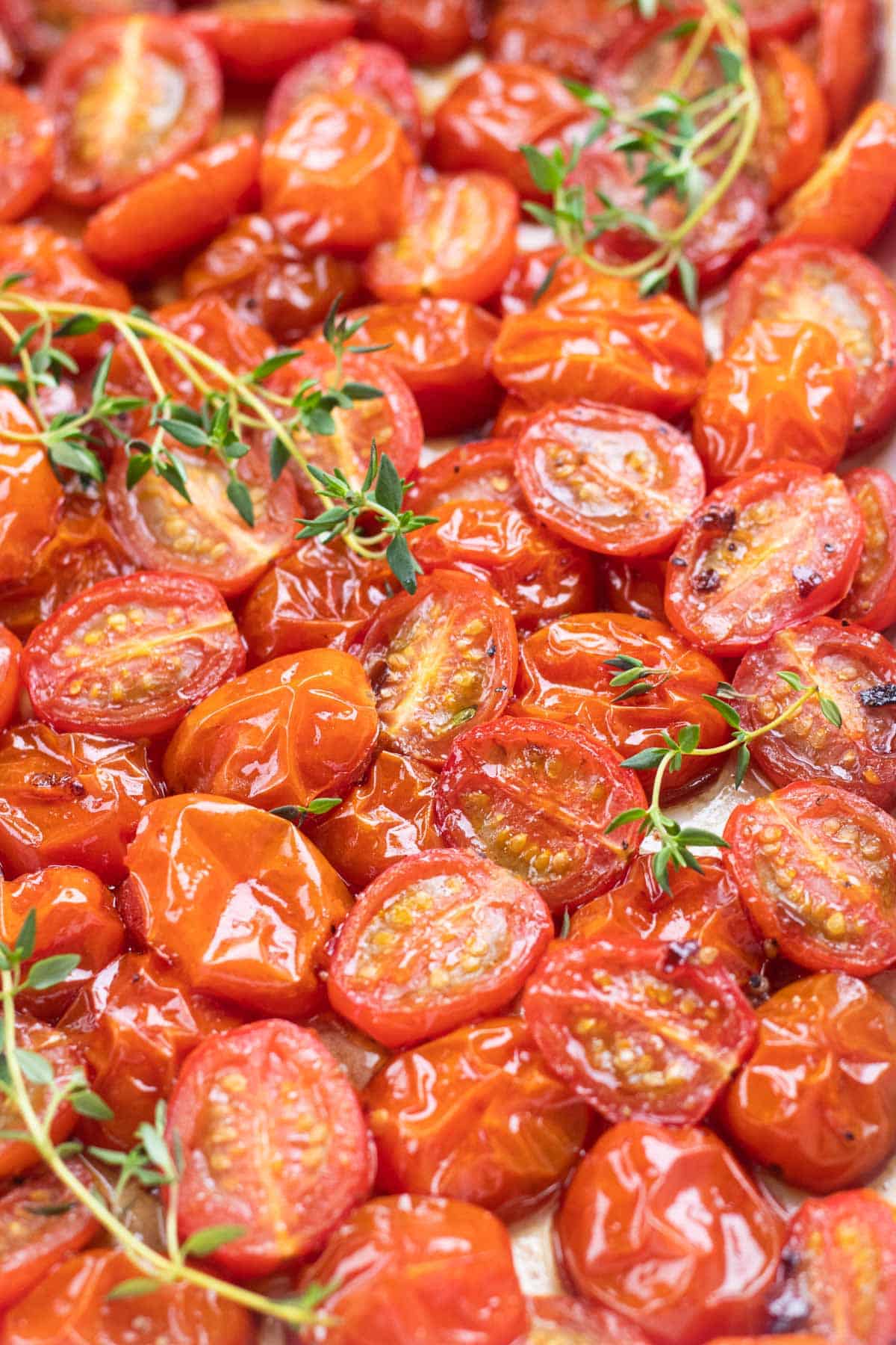 Roasted halved red cherry tomatoes in a white baking pan, topped with fresh thyme.