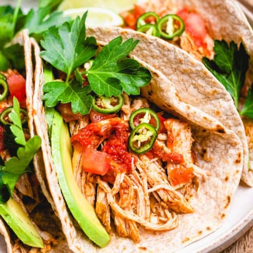 Tacos with shredded chicken, tomatoes, avocado, jalapeno, and cilantro on a plate.
