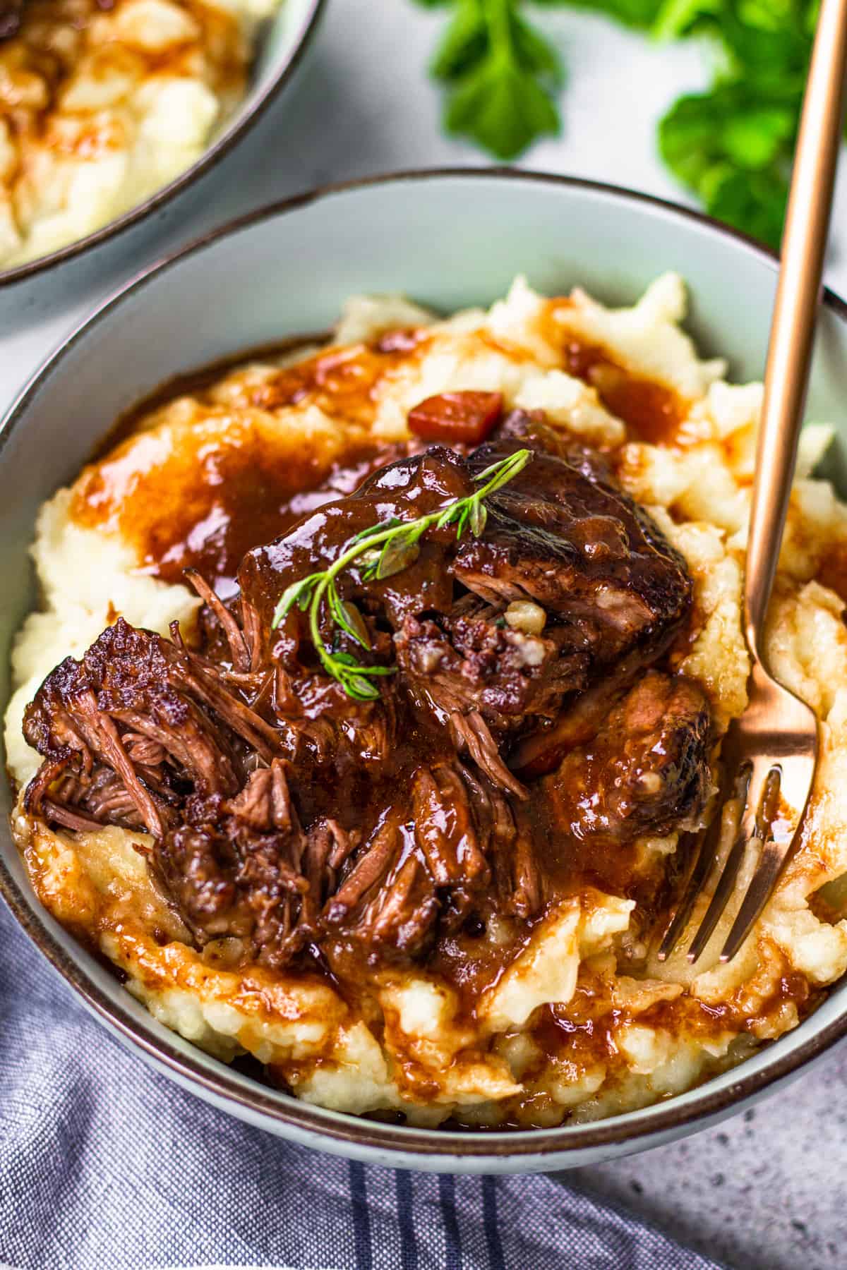 Bone in short rib with mashed potatoes, topped with red wine gravy.