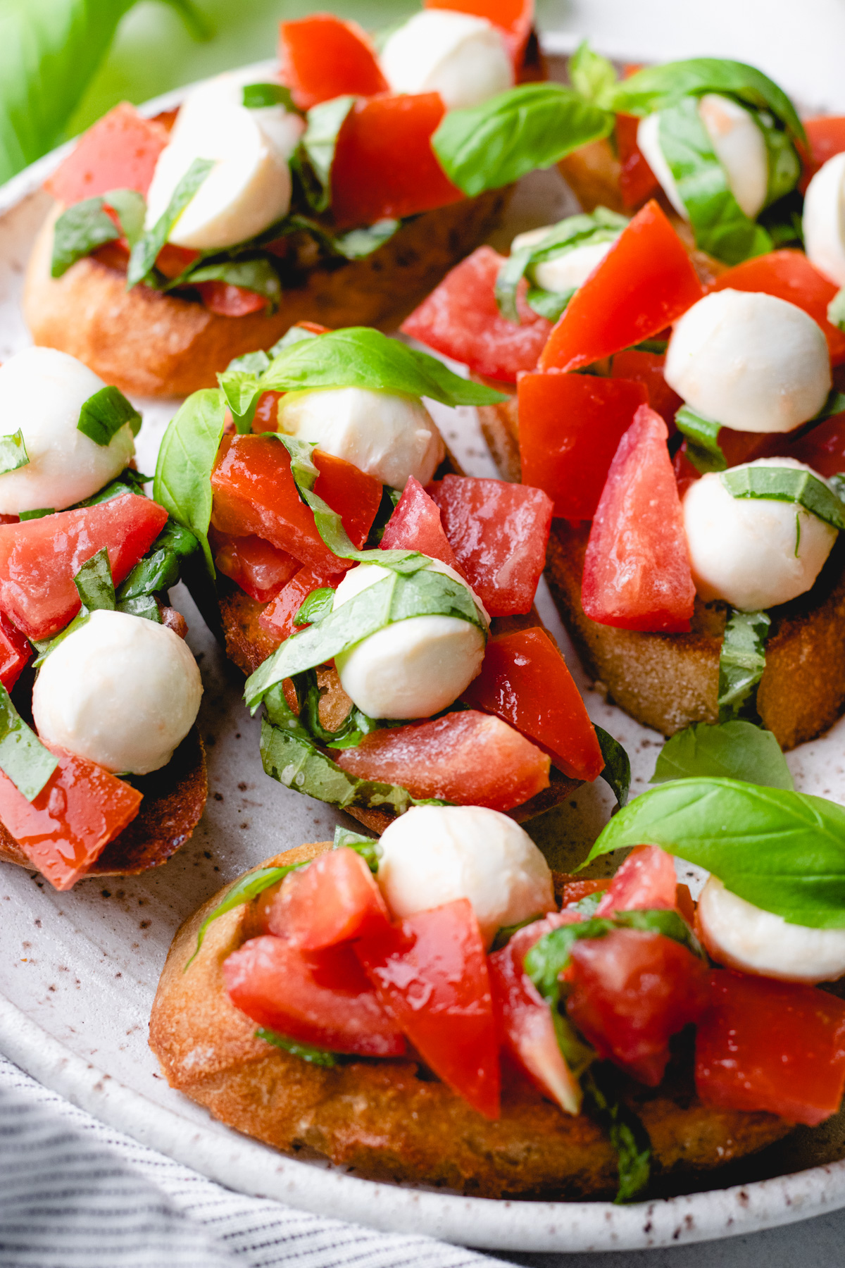 Bread slices, topped with diced tomatoes, mozzarella, and basil.
