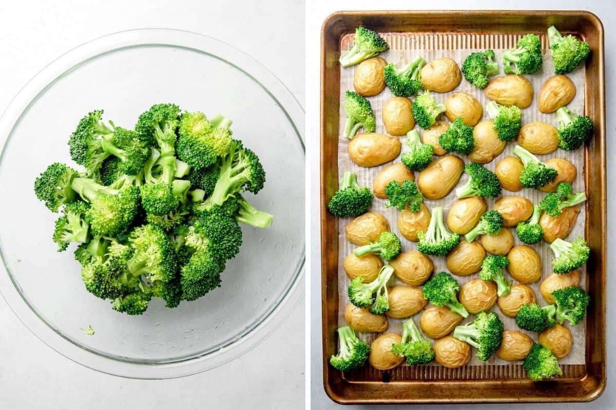 Broccoli in a bowl and on the baking sheet with roasted potatoes.