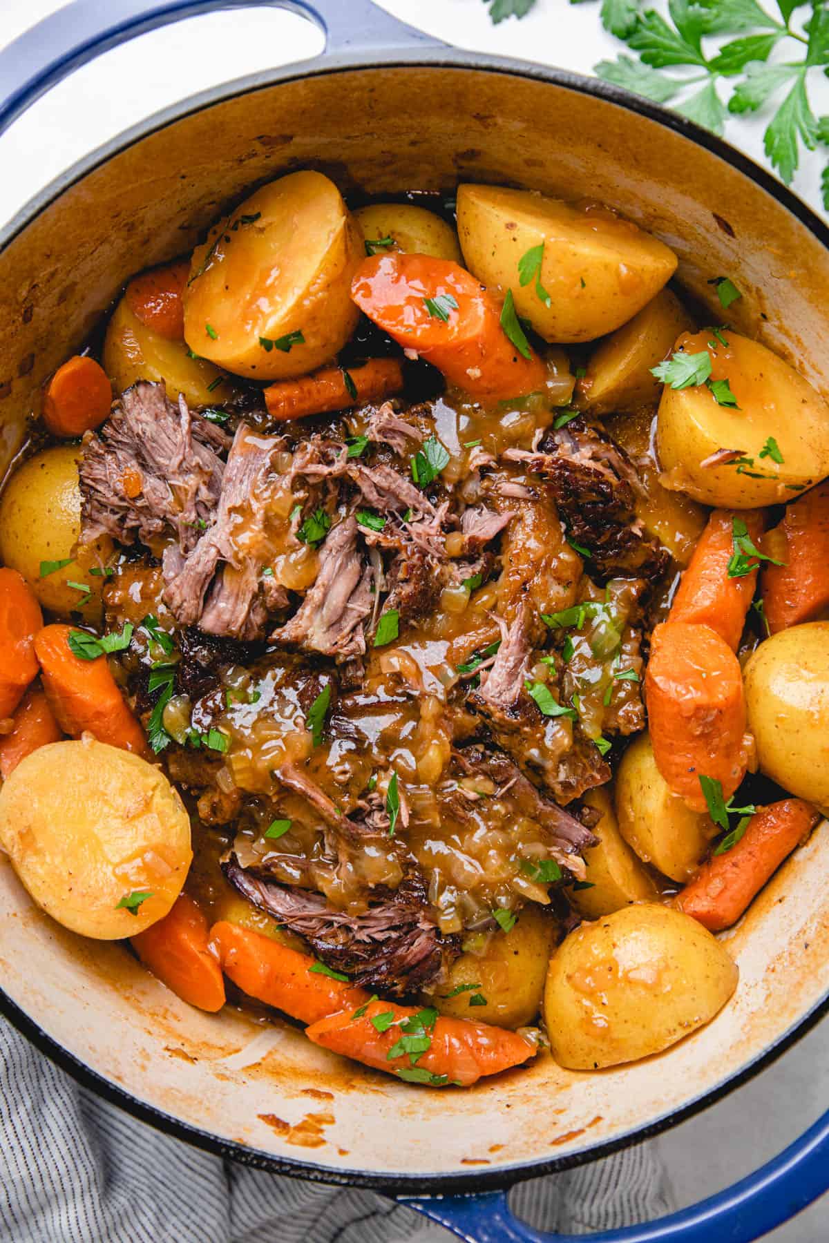 Pot Roast with carrots and potatoes in a Dutch Oven.