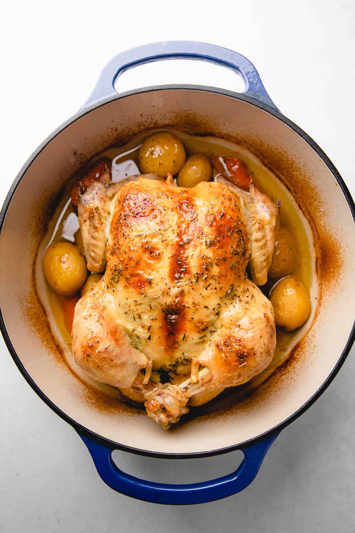 Whole roasted chicken in a Dutch oven with potatoes and carrots.