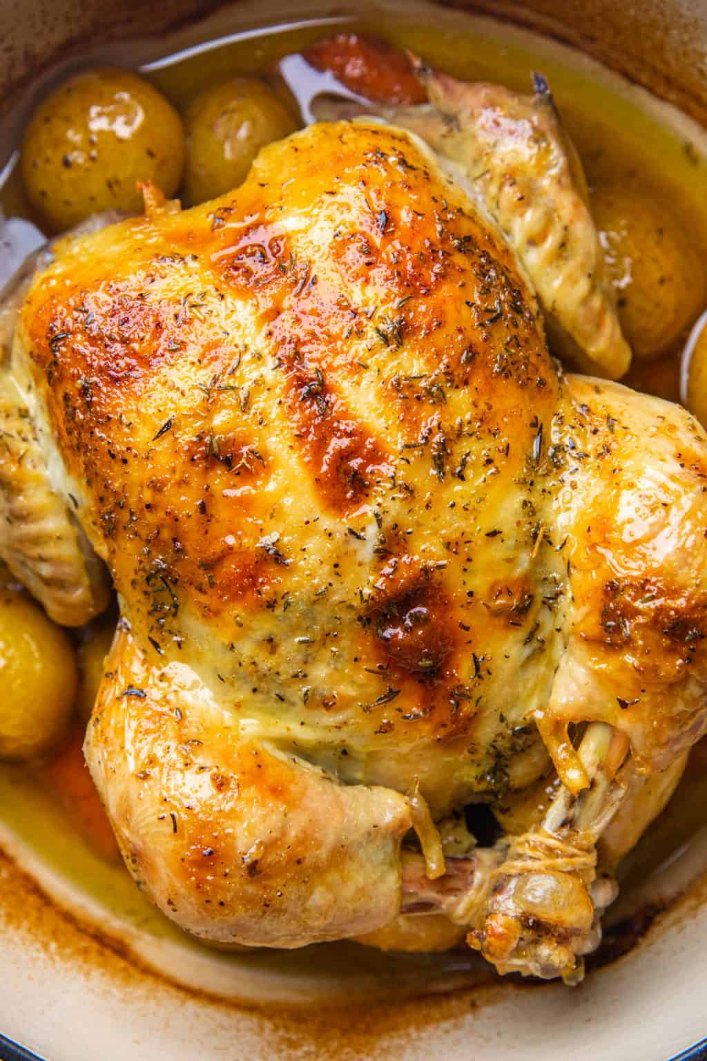 Dutch Oven Whole Chicken Veronika s Kitchen dutch-oven-whole-chicken-veronika-s-kitchen