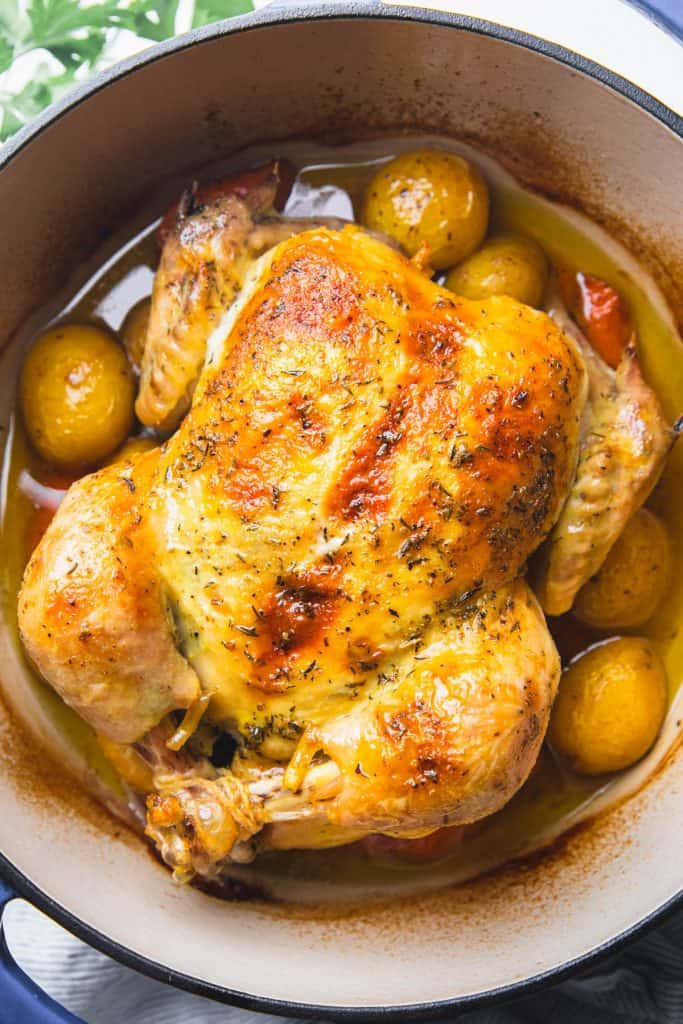 Dutch Oven Whole Chicken Veronika's Kitchen