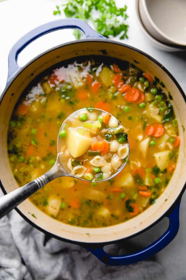 Vegetable Noodle Soup - Veronika's Kitchen