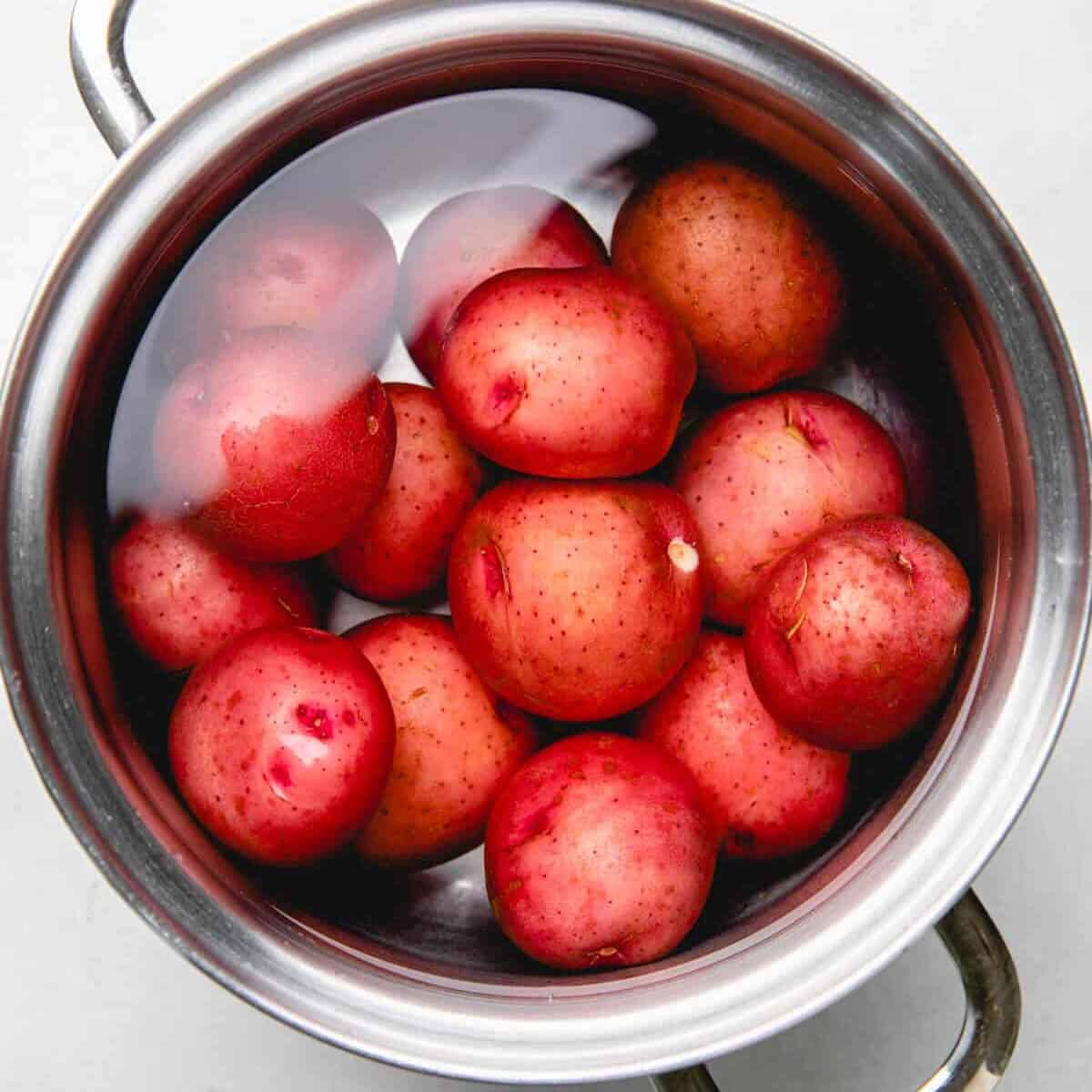 Red baby potatoes in a pot with water.